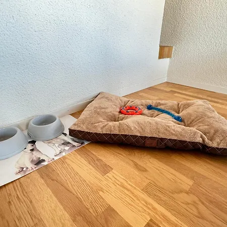 Niesenblick 公寓 施皮茨
